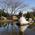 Business 3 image FOCUS ON PHOTOGRAPHY Wedding Photography in Tauranga BOP