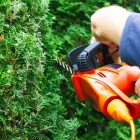 Business 2 image FORUDUNEDIN LAWN MOWING & GARDEN MAINTENANCE Garden Maintenance in Dunedin OTA