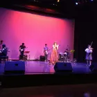 Business 1 image FRANKS MUSIC SCHOOL Musicians in Auckland City AUK