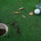 Business 1 image GAMEON TURF Turf in Hillcrest WKO