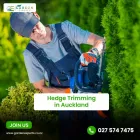 Business 2 image GARDEN EXPERTS Garden Maintenance in Auckland City AUK