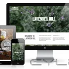 Business 3 image GEEK FREE WEB DESIGN Wordpress in Auckland NTL