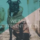 Business 1 image GLASSHOUSE DIGITAL Website Design in Auckland NTL