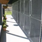 Business 2 image GLENSTAR KENNELS & CATTERY Domestic Pet Travel in Canterbury CAN