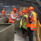 Business 2 image GREEN GORILLA Wood Chip in Auckland NTL