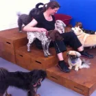 Business 7 image HAPPY PAWES - DOG DAY CARE & TRAINING CENTRE Pet Sitting in Auckland NTL