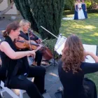 Business 2 image HAYDN STRING QUARTET Weddings in Wellington AUK