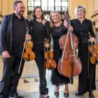 Business 4 image HAYDN STRING QUARTET Weddings in Wellington AUK