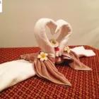 Business 6 image HEALTH WORLD THAI MASSAGE Tropical Coconut Body Scrub in Auckland NTL