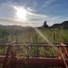 Business 6 image HEMP CONNECT General Business in Wellington City WGN