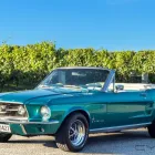 Business 4 image HIGHLIGHT WINE TOURS Wine Tours in Blenheim MBH