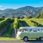 Business 5 image HIGHLIGHT WINE TOURS Wine Tours in Blenheim MBH