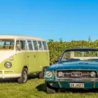 Business 7 image HIGHLIGHT WINE TOURS Wine Tours in Blenheim MBH