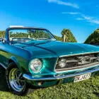 Business 9 image HIGHLIGHT WINE TOURS Wine Tours in Blenheim MBH