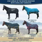 Business 2 image HOOFCAMP SADDLERY Saddlers in Whakatane BOP