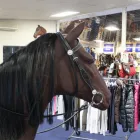 Business 4 image HOOFCAMP SADDLERY Saddlers in Whakatane BOP