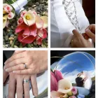 Business 6 image IMAGES PHOTOGRAPHY Photographers in Dunedin OTA