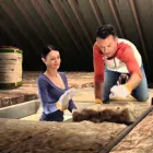 Business 1 image INSULTECH INSULATION Wall Insulation in Auckland NTL