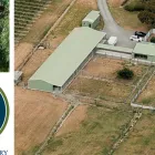 Business 1 image JESSENKA BOARDING KENNELS & CATTERY Boarding Kennels & Catteries in Blenheim MBH