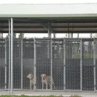 Business 4 image JESSENKA BOARDING KENNELS & CATTERY Boarding Kennels & Catteries in Blenheim MBH
