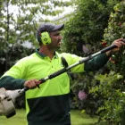 Business 2 image JIM'S MOWING TE MAUNGA Lawnmowing Services in Mount Maunganui BOP