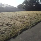 Business 8 image JIM'S MOWING TE MAUNGA Lawnmowing Services in Mount Maunganui BOP