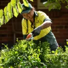 Business 9 image JIM'S MOWING TE MAUNGA Lawnmowing Services in Mount Maunganui BOP