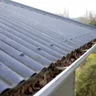 Business 12 image JIM'S MOWING TE MAUNGA Lawnmowing Services in Mount Maunganui BOP