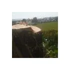 Business 2 image JIM'S TREES Tree Services in Auckland City AUK