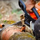 Business 5 image JIM'S TREES Tree Services in Auckland City AUK