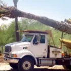 Business 7 image JIM'S TREES Tree Services in Auckland City AUK