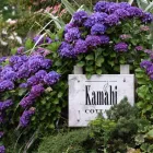 Business 5 image KAMAHI COTTAGE 5-STAR FARMSTAY ACCOMMODATION Luxury Accommodation in Otorohanga WKO