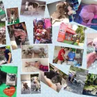 Business 3 image KIMMY'S CATS & K9S BOARDING KENNELS & CATTERY Doggy Day Care in Christchurch CAN