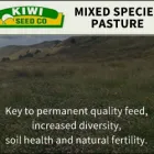 Business 2 image KIWI SEED CO (MARLBOROUGH) LTD Grain & Seed in Blenheim Area MBH