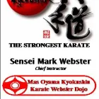 Business 2 image KYOKUSHIN KARATE WEBSTER DOJO Tournament Fighting in Christchurch CAN