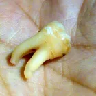 Business 1 image LANCE WEST Oral Surgeons in Auckland City AUK