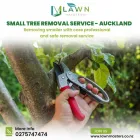 Business 1 image LAWN MASTERS Lawnmowing Services in Auckland City AUK
