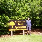 Business 2 image LORD NATHAN (TREE SPECIALIST) Tree Services in Te Puke BOP