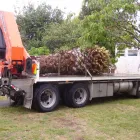 Business 3 image LORD NATHAN (TREE SPECIALIST) Tree Services in Te Puke BOP