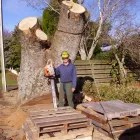 Business 4 image LORD NATHAN (TREE SPECIALIST) Tree Services in Te Puke BOP