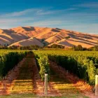 Business 3 image MARLBOROUGH  & PICTON SHUTTLES Weddings in Blenheim Area MBH