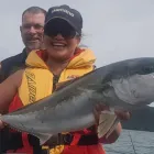 Business 5 image MARLBOROUGH  & PICTON SHUTTLES Weddings in Blenheim Area MBH