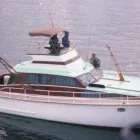 Business 2 image MARRA MARINE LTD Inflatable Boats in Tauranga BOP