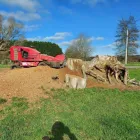 Business 1 image MATT SELLERS Tree Services in Taupo WKO