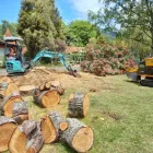 Business 3 image MATT SELLERS Tree Services in Taupo WKO