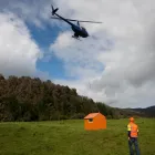 Business 2 image MBC ENVIRONMENTAL Consultants in Westport Area WTC