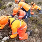 Business 5 image MBC ENVIRONMENTAL Consultants in Westport Area WTC