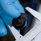 Business 8 image MBC ENVIRONMENTAL Consultants in Westport Area WTC