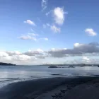 Business 9 image METHOD - HIGH PERFORMANCE WEBSITES Website Designers in Newzealand AUK