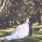 Business 1 image MICHAEL SCHULTZ PHOTOGRAPHY Wedding Photographers in Napier HKB